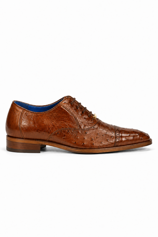 Belvedere Mauro Ostrich Oxford (175-178)-AmbrogioShoes