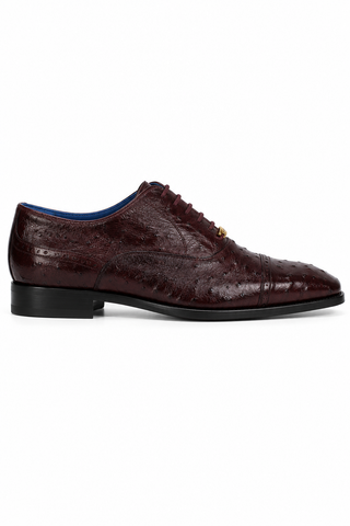 Belvedere Mauro Ostrich Oxford (175-178)-AmbrogioShoes