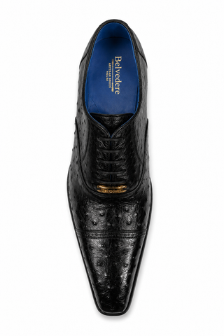 Belvedere Mauro Ostrich Oxford (175-178)-AmbrogioShoes