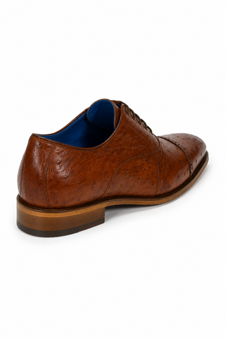 Belvedere Mauro Ostrich Oxford (175-178)-AmbrogioShoes