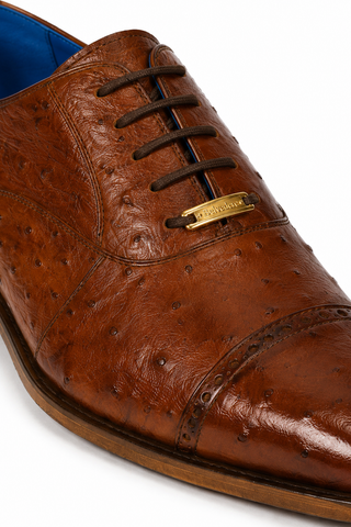Belvedere Mauro Ostrich Oxford (175-178)-AmbrogioShoes