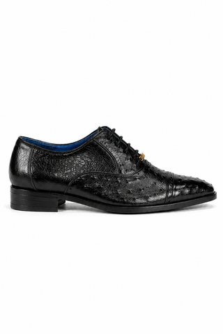 Belvedere Mauro Ostrich Oxford (175-178)-AmbrogioShoes