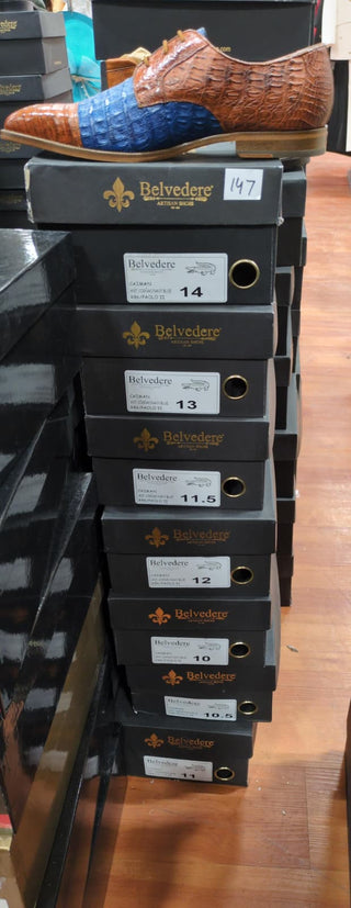 Belvedere Poalo II Crocodile Derby (147)