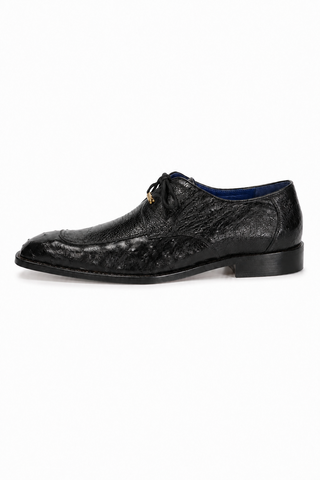 Belvedere Bolero Ostrich Derby (187-189)