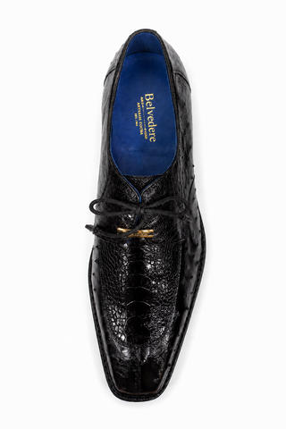 Belvedere Bolero Ostrich Derby (187-189)