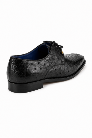 Belvedere Bolero Ostrich Derby (187-189)