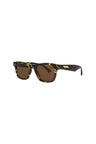 20355 - Havana Havana Brown