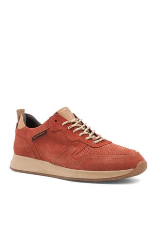 Bruno Magli Capri Suede Sneaker (BM1089)