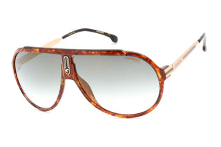 Carrera ENDURANCE65/N Sunglasses HAVANA/GREEN SH GLD MR-AmbrogioShoes