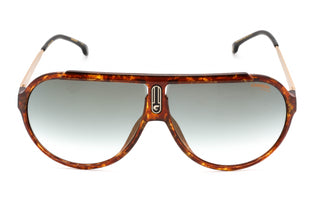 Carrera ENDURANCE65/N Sunglasses HAVANA/GREEN SH GLD MR-AmbrogioShoes