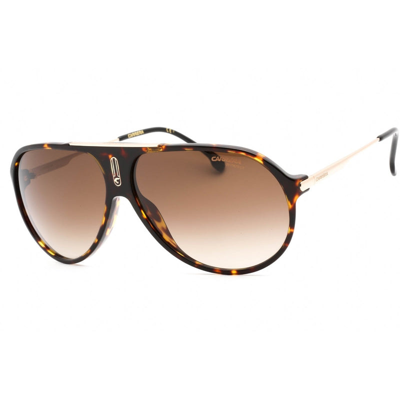 Carrera HOT65 Sunglasses Dark Havana / Brown Sf Unisex Unisex-AmbrogioShoes