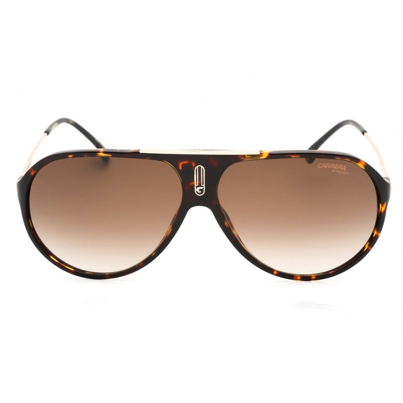 Carrera HOT65 Sunglasses Dark Havana / Brown Sf Unisex Unisex-AmbrogioShoes