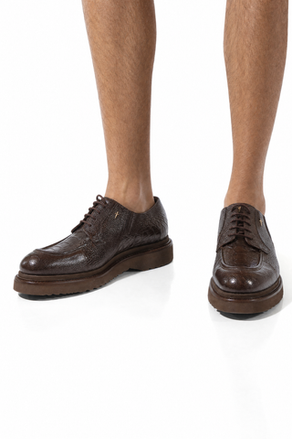 Cesare Paciotti Designer Shoes Struzzo Fondente Nappa Brown Lizard Oxfords (CPM3040)-AmbrogioShoes