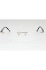 C02 - Shiny Silver/Gold / Clear Lens