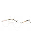 C02 - Shiny Silver/Gold / Clear Lens