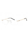C02 - Shiny Argent/Gold / Clear Lens
