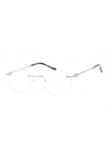C02 - Shiny Silver/Gold / Clear Lens