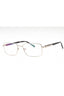 C02 - Shiny Silver/Grey Horn / Clear Lens