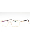 C01 - Shiny Gold/Tortoise / Clear Lens