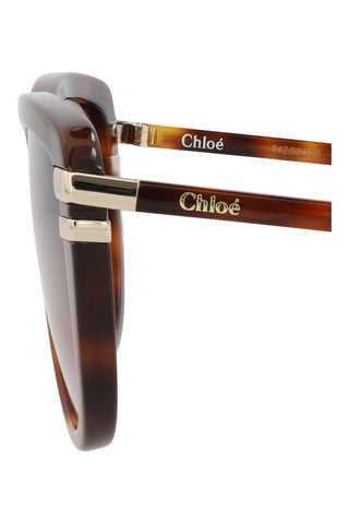 Chloé CH0203S Sunglasses-AmbrogioShoes