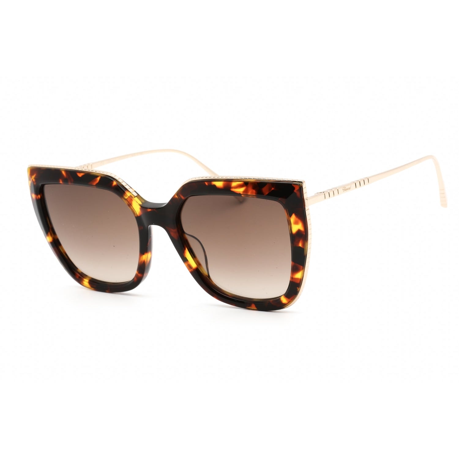 Chopard SCH319M Sunglasses SHINY HAVANA / Brown Gradient – AmbrogioShoes