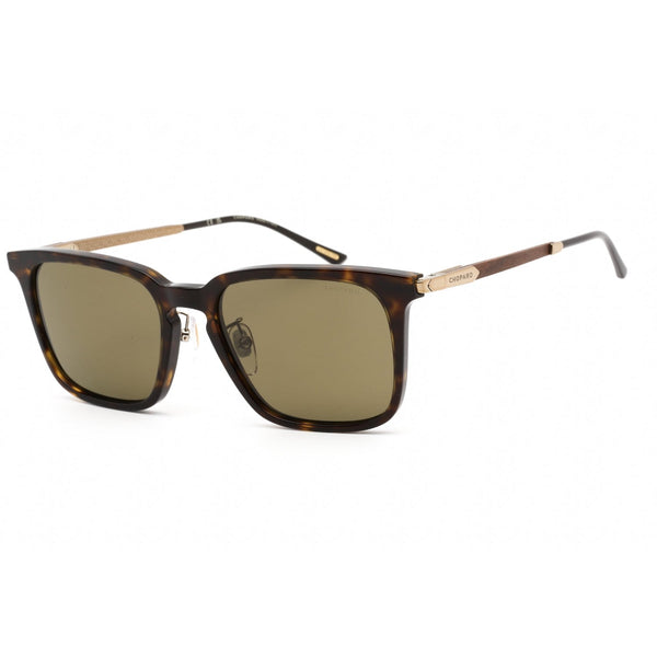 Chopard SCH339 Sunglasses SHINY DARK HAVANA / Brown-AmbrogioShoes