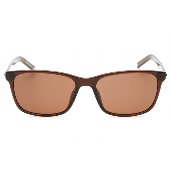 Converse CV506S CHUCK Sunglasses CRYSTAL DARK ROOT/Brown-AmbrogioShoes