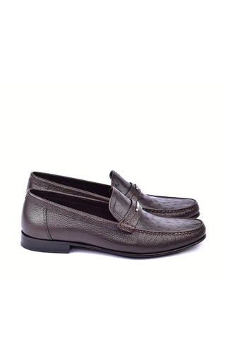 Corrente 3898Ost Leather & Ostrich Horse-Bit Loafer - Dark Brown-AmbrogioShoes