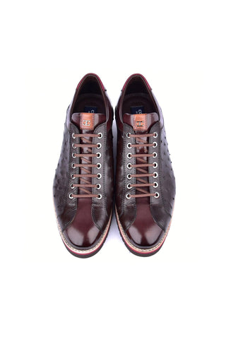Corrente 4005 Ostrich Skin Sneaker - Brown-AmbrogioShoes