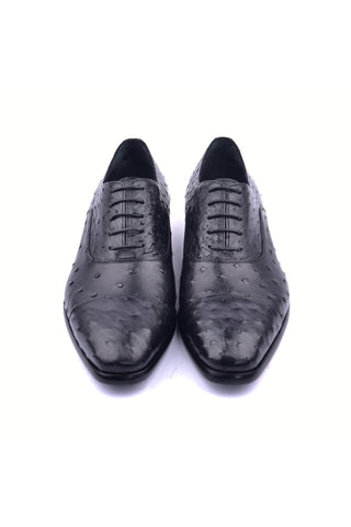 Corrente 6265 Ostrich Oxford - Black-AmbrogioShoes