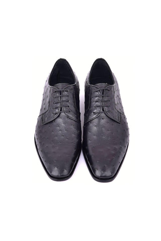 Corrente 6348 Ostrich Derby - Black-AmbrogioShoes