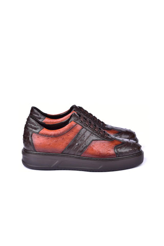 Corrente 6988 Ostrich Sneaker - Brown-AmbrogioShoes