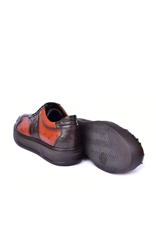 Corrente 6988 Ostrich Sneaker - Brown-AmbrogioShoes