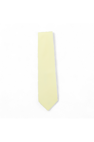 Dolce & Gabbana D&G Necktie Tie Solid Lime Color DGT53