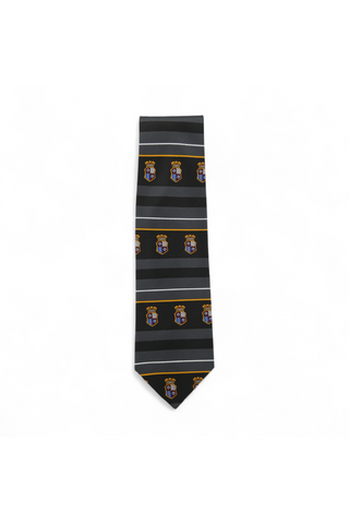 Dolce & Gabbana D&G Neckties designer Tie for men 537