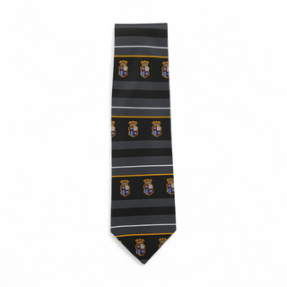 Dolce & Gabbana D&G Neckties designer Tie for men 537-AmbrogioShoes