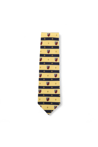 Dolce & Gabbana D&G Neckties designer Tie for men 539-AmbrogioShoes