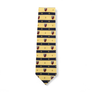 Dolce & Gabbana D&G Neckties designer Tie for men 539-AmbrogioShoes