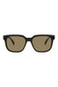 00008 - Black Black Brown