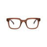 21181 - Brown Brown Transparent