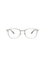 00287 - Silver Silver Transparent