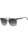 5029T3 - Shiny Transparent Grey/Polar Grey