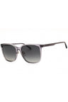 5029T3 - Shiny Transparent Grey/Polar Grey