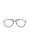 048 - Shiny Dark Brown / Clear Lens