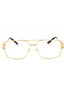 1002 - Gold/Clear demo lens