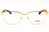 1002 - Gold/Clear demo lens