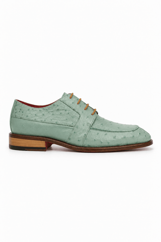 Fennix Charles Ostrich Derby-AmbrogioShoes