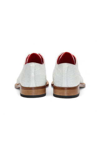 Fennix Kingston Alligator Derby (FX1141)-AmbrogioShoes