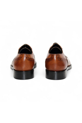 Firmani Paul Calf-Skin Leather Oxford (FIR1012)-AmbrogioShoes