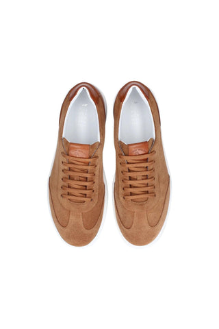 Franceschetti Alessio Suede Sneakers-AmbrogioShoes
